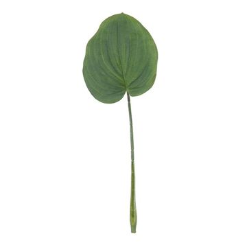 Hoja artificial de hosta ZENISA, verde, 40cm