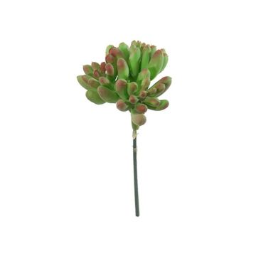Sedum pachyphyllum artificial ODANO, varilla, verde-rojo, 8cm