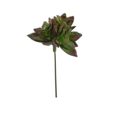 Echeveria macdougallii artificial ODINU, varilla, burdeos-verde, 8cm