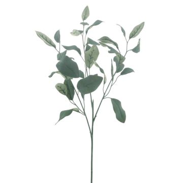 Rama de eucalipto artificial MALEEN, Eco Collection, verde, 75 cm