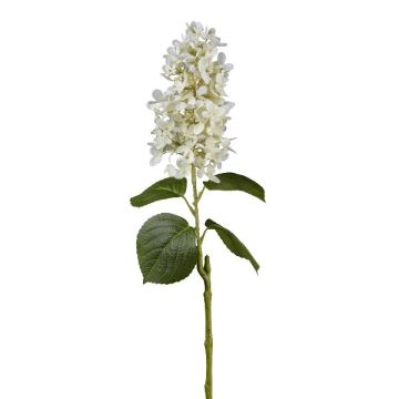 Flor de plástico Hortensia KINELY, blanca, 75 cm