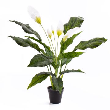 Spathiphyllum falso CASY, con flor, en maceta decorativa, blanco, 80cm