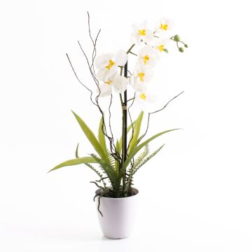 Orquídea Phalaenopsis plástico MELINA maceta decorativa blanco, 65cm, Ø8cm