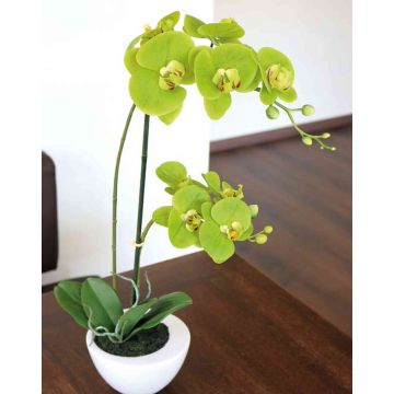 Orquídea Phalaenopsis artificial AURELIA, en maceta de cerámica, verde, 55cm