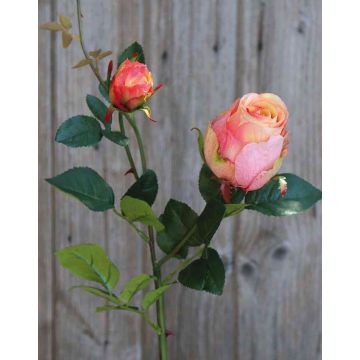 Rosa artificial CARUSA, rosa-albaricoque, 80cm, Ø8cm