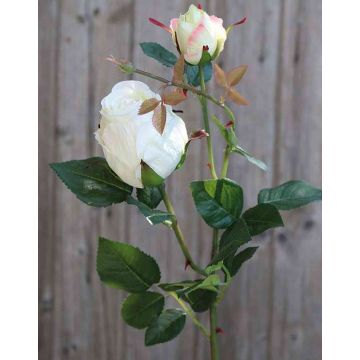 Rosa artificial CARUSA, blanco-crema, 80cm, Ø8cm