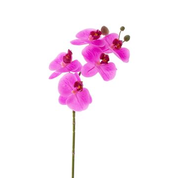 Orquídea Phalaenopsis artificial EMILIA, fucsia, 60cm, Ø8cm