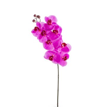 Rama de Phalaenopsis falsa AURELIA, fucsia, 95cm, Ø10cm