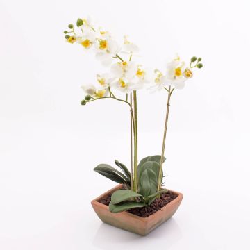 Orquídea Phalaenopsis sintética MINA maceta terracota, blanco, 55cm, Ø6-8cm