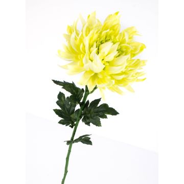 Crisantemo flor artificial KESARA, crema-verde, 65cm, Ø16cm
