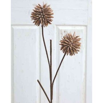 Allium artificial CHIRARA, marrón, 95cm, Ø10cm