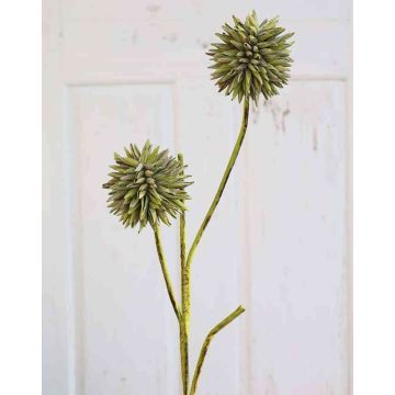 Allium artificial CHIRARA, verde-marrón, 95cm, Ø10cm