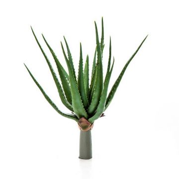 Aloe artificial ALEYNA, en vara de fijación, verde, 50cm, Ø40cm
