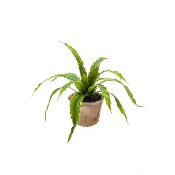 Helecho planta imitación FRANNY, maceta terracota, verde, 30cm, Ø30cm