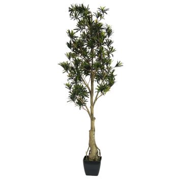 Podocarpus de plástico AMANDO, tronco artificial, verde, 115cm
