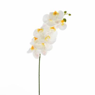 Rama de Phalaenopsis artificial OPHELIA, blanco, 100cm, Ø12cm