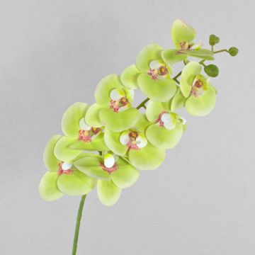 Rama de Phalaenopsis artificial OPHELIA, verde-fucsia, 100cm, Ø12cm