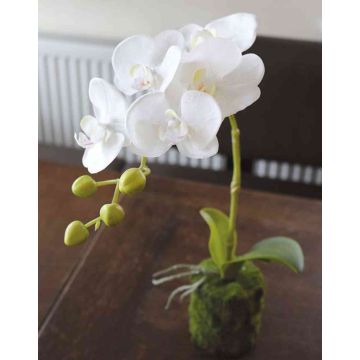 Orquídea Phalaenopsis artificial VEENA en bola de tierra, blanco, 40cm