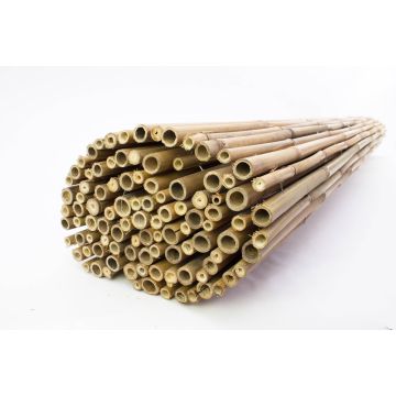 Estera JONAH de cañas de bambú, color natural, 200cmx180cm
