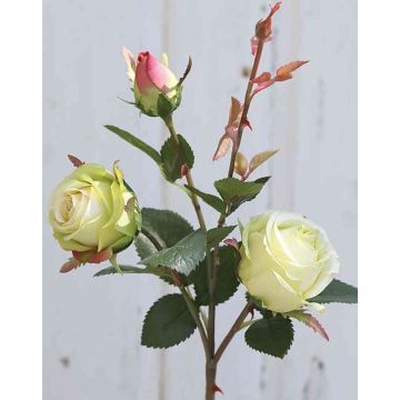 Rosa artificial DELILAH, crema-verde, 55cm, Ø6cm