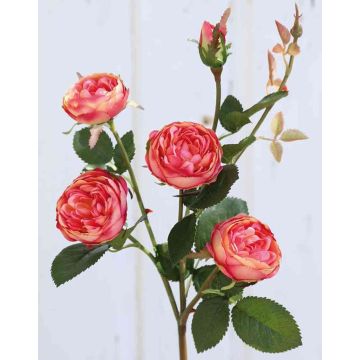 Rosa repollo artificial SABSE, rosa-albaricoque, 55cm, Ø4-5cm