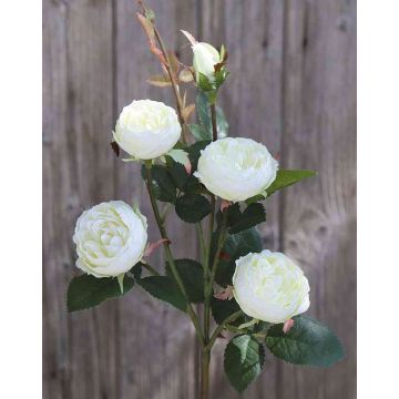 Rosa repollo artificial SABSE, blanco-crema, 55cm, Ø4-5cm
