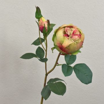 Rosa repollo artificial MIRETTA, verde-borgoña, 60cm, Ø3-9cm