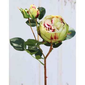 Rosa repollo artificial MIRETTA, verde-borgoña, 60cm, Ø3-9cm