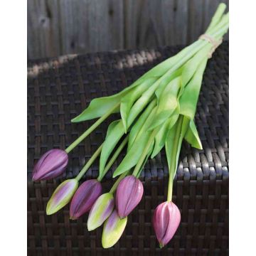 Ramo de tulipanes LONA, 7 flores, lila-verde, 45cm, Ø20cm