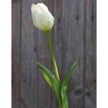 Tulipán artificial LONA, blanco-verde, 45cm, Ø4cm