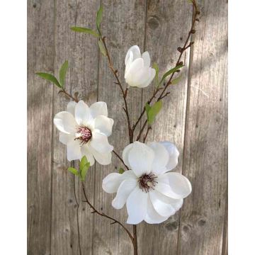 Rama de magnolia falsa FINAH, blanco-crema, 90cm, Ø9-15cm