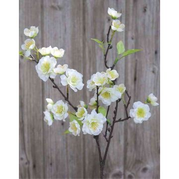 Rama de cerezo artificial SOEY con flores, crema-blanco, 45 cm