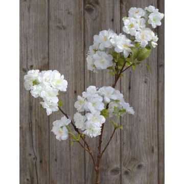 Rama textil de flor de cerezo MATSUDA con flores, crema-blanco, 80 cm