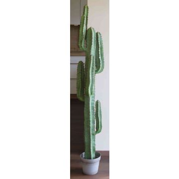Cactus columnar sintético OLIVERO, en tiesto decorativo, verde, 160cm