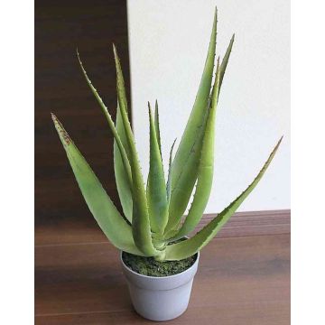 Aloe sintético NAMIKA, en tiesto decorativo, verde, 50cm, Ø25cm