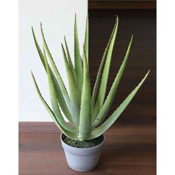 Aloe sintético NAMIKA, en tiesto decorativo, verde, 60cm, Ø30cm