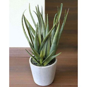 Aloe sintético NAMIKA, maceta de hormigón, verde, 40cm, Ø20cm