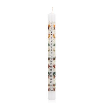 Calendario de Adviento con velas LAMBERTINA, días de Adviento impresos, blanco y multicolor, 25 cm, Ø 2,3 cm - Fabricado en Alemania Calendario de Adviento con velas LAMBERTINA, días de Adviento impresos, blanco y multicolor, 25 cm, Ø 2,3 cm - Fabricado en Alemania