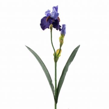 Iris artificial ALYSSA, azul, 70cm, Ø13cm
