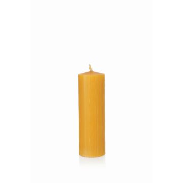 Vela de pilar de cera de abejas BABETTE, amarillo-natural, 15cm, Ø5cm, 45h - Made in Germany Vela de pilar de cera de abejas BABETTE, amarillo-natural, 15cm, Ø5cm, 45h - Made in Germany