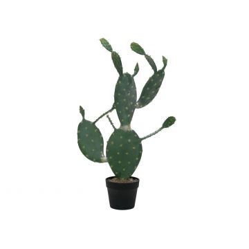 Cactus asiento de suegra falso ALEJANDRO, verde, 75cm