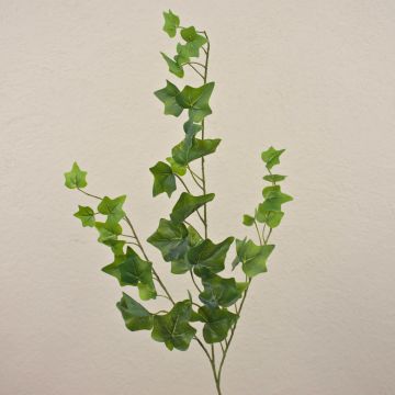 Rama de hiedra artificial DEXTER, verde, 65cm