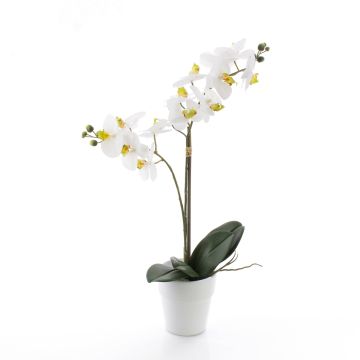Orquídea Phalaenopsis sintética CANDIDA tiesto cerámica, blanco, 65cm, Ø7-8cm