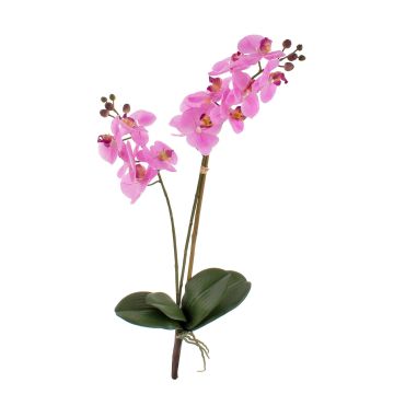 Orquídea Phalaenopsis sintética CANDIDA vara fijación, rosa, 65cm, Ø7-8cm