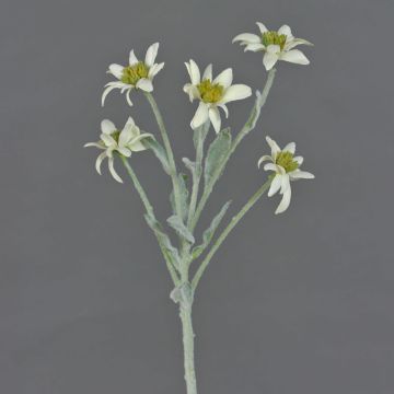 Ramillete de delweiss artificial SOPHIA, blanco, 40cm, Ø5-6cm