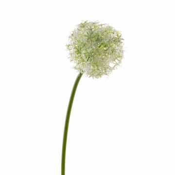 Flor de Allium artificial SAMARA, crema, 75cm, Ø12cm