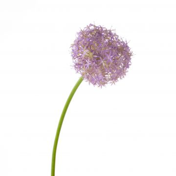 Flor de Allium artificial SAMARA, lila, 75cm, Ø12cm