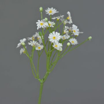 Margarita artificial BELINA, blanco, 30cm, Ø1cm