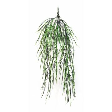 Colgante de Salix TONI, verde, 80cm
