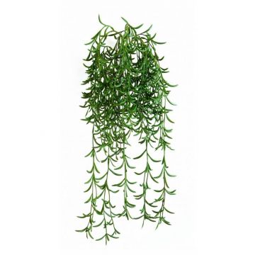 Ripsalis artificial colgante KLEMENIS, en vara de fijación, verde, 45cm